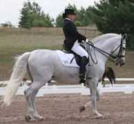 equistrideinternational.com Tamero