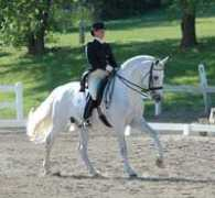 equistrideinternational.com Tamero