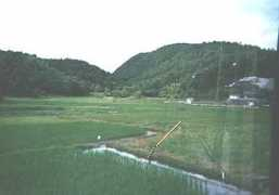 usrail.jp Tamida