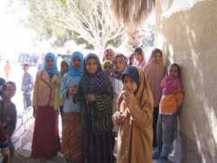 Tammia