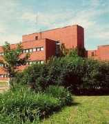 Tammia