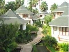 triptake.com Tanaosri