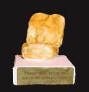 gallerythe.org Tanaysha