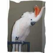 birdchannel.com Tangi