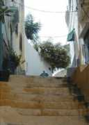 fraissi.net Tangier