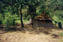 grographics.com Tanore