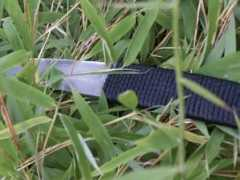 kanjis-web.de Tantod