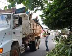 tn.temmais.com Tatui