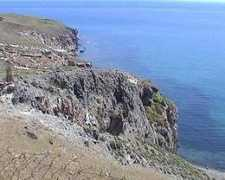 birdseen.co.uk Tavari