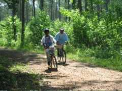 bikeathens.com Tavarius