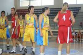 Tavic