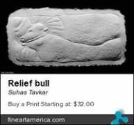 fineartamerica.com Tavkar