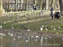 jokes.raskraska.ru Tavrichesky