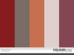 colourlovers.com Taylea