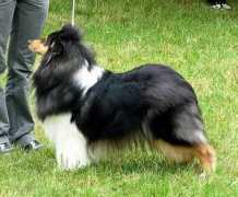 nyitramenti.hu Tchoupy