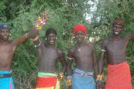 ewasolions.wildlifedirect.org Tenebo