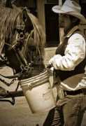 theequinest.com Terace