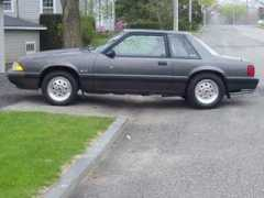 mustangworld.net Tercio