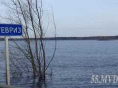 omskinform.ru Tevriz