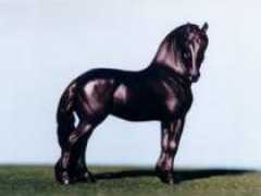 animalartistry.co.uk Thalke