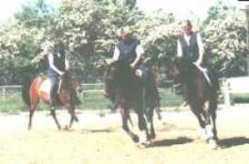 araberseite.de Thameen