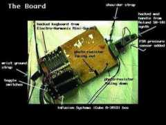 cheapmeat.net Theboard