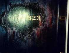 Thedoor