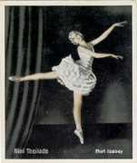 Theilade