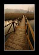 addoja.com Thekrayat