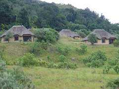 africasafari.co.za Thendele