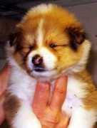 nyitramenti.hu Theoneandonly