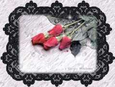 Theroses