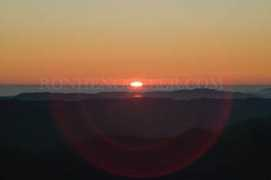 Thesun