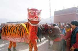 mexicanpictures.com Thetiger