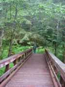 portland.daveknows.org Thetroll