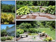 Theyard