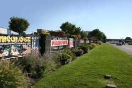 Theyard