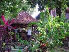 snaphappyross.co.uk Thongbay