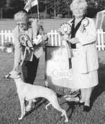 ourdogs.co.uk Thoume