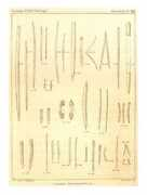 19thcenturyscience.org Thria