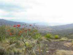 swaziplace.com Thulie