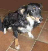 tenderduwtje.be Tiani