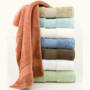 bombayharbor.com Tianin