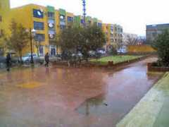 djamila.be Tiberkanine