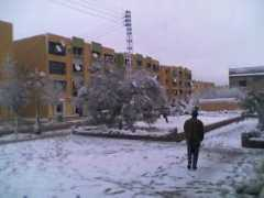 djamila.be Tiberkanine