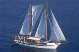 elpasotravel.net Tifil