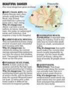 archives.starbulletin.com Tigami