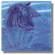 Tigerblue