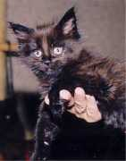 starbushway.de Timethy