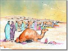 Tindouf